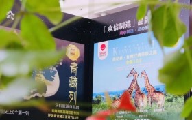 众信旅游2024半年度业绩亮眼，实现显著增长与创新升级